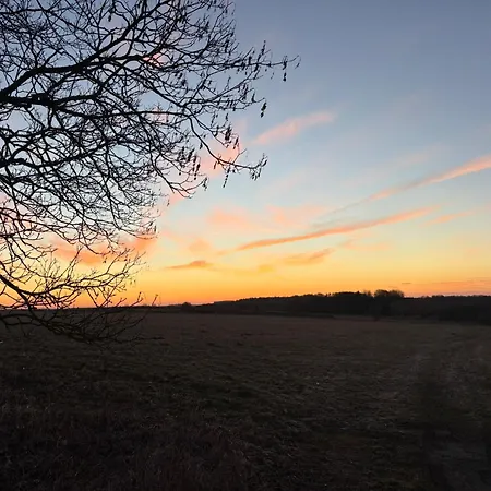 Moos & Morgenrot - St Andreasberg Gasthuis 3*