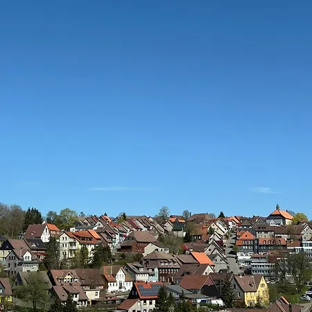Moos & Morgenrot - St Andreasberg